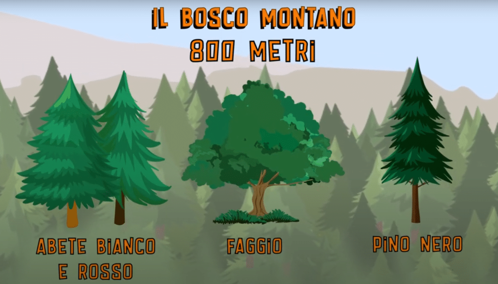 marketing territoriale per interessare e informare